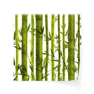 bezszwowy-wzor-z-bambusowymi-roslinami-i-liscmi-wysoka-rozdzielczosc-bezszwowa-tekstura