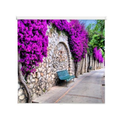 uliczka-pod-starym-murem-z-fioletowymi-kwiatami-na-wyspie-capri-wlochy