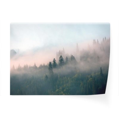poranna-mgla-w-gorskim-lesie