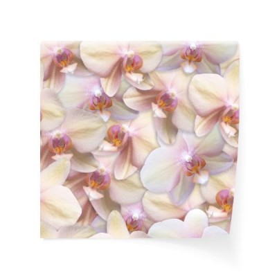 wzor-orchidee-bezszwowe-tlo-kwiat-perla-kolor