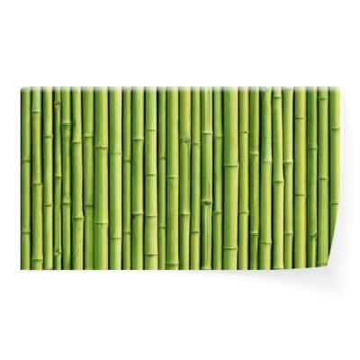 zielony-bambusowy-plot-tlo
