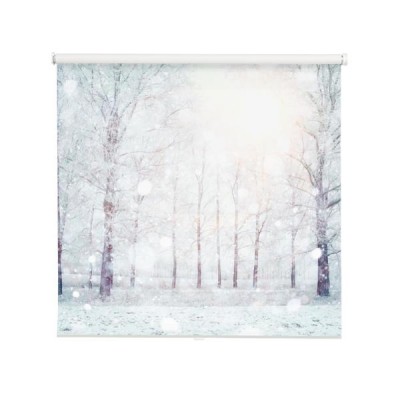 biale-drzewa-pokryte-mroznym-sniegiem
